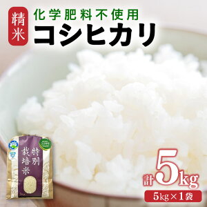 【ふるさと納税】【令和7年産 新米】 化学肥料不使用コシヒカリ 精米5kg(5kg×1袋) / 白米 米 福井県あわら市産 美味しい 特別栽培米 減農薬 安心な米 旨味 甘み もっちり エコファーマー こ