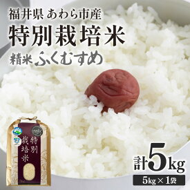 【ふるさと納税】【先行予約】【令和8年産】化学肥料不使用 特別栽培米 ふくむすめ 精米 5kg / 白米 米 福井県あわら市産 美味しい 特別栽培米 減農薬 安心な米 旨味 甘み もっちり 冷蔵保管米 特栽米 ※2026年9月下旬以降発送予定