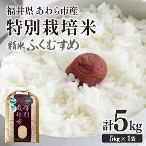 yӂ邳Ɣ[Łzyߘa7NYzw엿sgp ʍ͔| ӂނ  5kg /   䌧sY  ʍ͔| _ Sȕ | Â  ①ۊǕ ͕