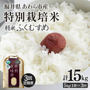 yӂ邳Ɣ[Łzyߘa7NYz 3A͂ w엿sgp ʍ͔| ӂނ  5kg × 3iv15kgj /   䌧sY  ʍ͔| _ S