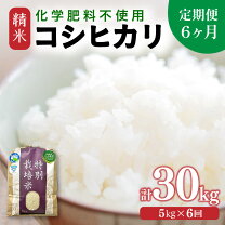 楽天市場】コシヒカリ 福井 30kgの通販