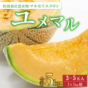 yӂ邳Ɣ[Łzys\z}ZC 3`5ʓu}v5kg sƂ낯悤ȐH̐i ԓt^ ʕ t[c Yn   2026N6{菇