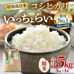 yӂ邳Ɣ[Łzys\zyߘa7NYEVāzyꓙāzʍ͔| 炢  5kg ^ 䌧Y uh RVqJ   VN  ܁y2025N9{菇\