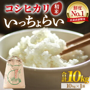 yӂ邳Ɣ[Łzyߘa7NYEVāzyꓙāz炢  10kg×1 ^ 䌧Y uh RVqJ    R VN   V 䌧Y