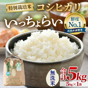 yӂ邳Ɣ[Łzys\zyߘa7NYEVāzyꓙāzʍ͔| 炢  5kg ^ 䌧Y uh RVqJ   VN  ܁y2025N9{菇