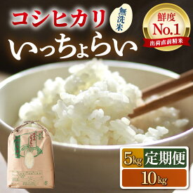【ふるさと納税】【先行予約】【令和8年産・新米】【一等米】いっちょらい コシヒカリ 無洗米 5kg 10kg【選べる容量 定期便】 ／ 5キロ 10キロ 定期便 12ヶ月 お米 福井県産 ブランド米 コシヒカリ ご飯 白米 新鮮 大賞 受賞 ※2026年9月下旬以降順次発送予定