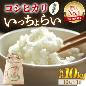 yӂ邳Ɣ[Łzyߘa7NYEVāzyꓙāz炢  10kg×1 ^ 䌧Y uh RVqJ   VN  