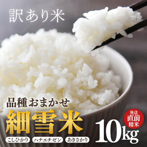 yӂ邳Ɣ[Łzy󂠂zyʌzsY ߘa7NY אāiRVqJEniG`[Êꂩj  10kg sOāt /   10L 󂠂 킯 