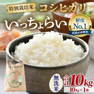 yӂ邳Ɣ[Łzyߘa7NYEVāzyꓙāzʍ͔|Ă炢  10kg×1 ^ 䌧Y uh RVqJ   VN  