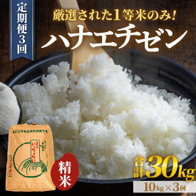 【ふるさと納税】【先行予約】【令和8年産・新米】【一等米】＜定期便3回＞ ハナエチゼン 精米 10kg × 3回（30kg）《発送直前精米！》 / 10キロ 定期便 福井県 あわら 北陸 米 お米 人気 大賞 受賞 新米 華越前 ※2026年9月上旬以降順次発送予定
