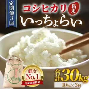 【ふるさと納税】【令和7年産・新米】米 定期便【一等米】《定期便3回》いっちょらい 精米 10kg × 3回(計30kg)/ 福井県産 ブランド米 コシヒカリ ご飯 白米 新鮮 大賞 受賞 新米 福井県あわ