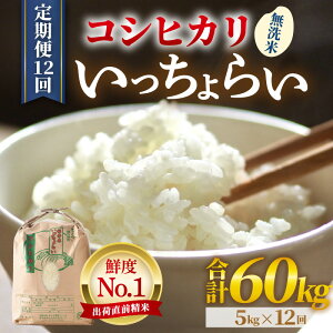 yӂ邳Ɣ[Łzys\zyߘa7NYEVāzyꓙāzs12t炢  5kg × 12iv60kgj ^ 䌧Y uh RVqJ   VN  ܁y2025N10