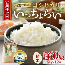 【ふるさと納税】【先行予約】【令和8年産・新米】【一等米】《定期便12回》特別栽培米 いっちょらい 精米 5kg × 12回（計60kg）／ 米 お米 定期便 5キロ 福井県産 ブランド米 コシヒカリ ご飯 白米 新鮮 大賞 受賞 12ヶ月 ※2026年10月上旬以降順次発送予定