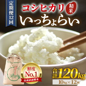 【ふるさと納税】【先行予約】【令和8年産・新米】米 定期便【一等米】《定期便12回》いっちょらい 精米 10kg × 12回（計120kg） ／ 米 定期便 お米 10キロ 福井県産 ブランド米 コシヒカリ ご飯 白米 新鮮 大賞 受賞 新米 福井県あわら産 ※2026年10月上旬以降順次発送予定