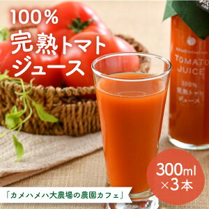 yӂ邳Ɣ[Łz100ng}gW[X 300ml×3{ sHɋxԂɂ߁t | 䌧s 䌧 s   ӂ邳 [ x ԗi Yi Y Y Yi g}