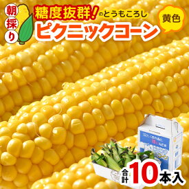 【ふるさと納税】【先行予約】朝採り ピクニックコーン 黄色 10本入《生でも食べれる！希少品》 ／ 野菜 とうもろこし スイートコーン 福井県 あわら市 ※2026年6月上旬以降順次発送