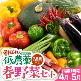 【ふるさと納税】【先行予約】農家直送 春野菜セット 1箱 7品目以上 《元気に育った新鮮野菜！》／ 季節 春 野菜 ボックス BOX セット セレクト 農家 おまかせ 多品目 旬 詰め合わせ ※2027年4月下旬より順次発送
