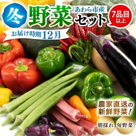 【ふるさと納税】【先行予約】農家直送 冬野菜セット 1箱 7品目以上 《元気に育った新鮮野菜！》／ 季節 冬 野菜 ボックス BOX セット セレクト 農家 おまかせ 多品目 旬 詰め合わせ ※2025年12月上旬以降発送