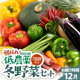 【ふるさと納税】【先行予約】農家直送 冬野菜セット 1箱 7品目以上 《元気に育った新鮮野菜！》／ 季節 冬 野菜 ボックス BOX セット セレクト 農家 おまかせ 多品目 旬 詰め合わせ ※2026年12月上旬以降発送
