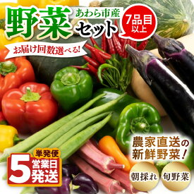 【ふるさと納税】【単発便5営業日発送！】農家直送 旬の野菜セット 7品目以上 1箱【選べる回数】1回 3回 6回 12回 / 定期便 単発 3ヶ月 6ヶ月 12ヶ月 季節 野菜 ボックス BOX セット セレクト 農家 おまかせ 多品目 旬 詰め合わせ 根菜 葉物