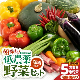 【ふるさと納税】【単発便5営業日発送！】農家直送 旬の野菜セット 7品目以上 1箱【選べる回数】1回 3回 6回 12回 / 定期便 単発 3ヶ月 6ヶ月 12ヶ月 季節 野菜 ボックス BOX セット セレクト 農家 おまかせ 多品目 旬 詰め合わせ 根菜 葉物