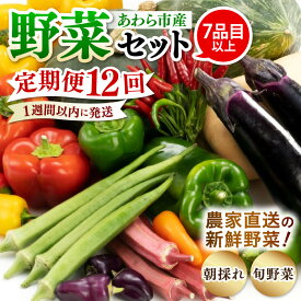 【ふるさと納税】【12ヶ月連続お届け】農家直送 旬の野菜セット 7品目以上 1箱 ／ 定期便 12回 季節 野菜 ボックス BOX セット セレクト 農家 おまかせ 多品目 旬 詰め合わせ 根菜 葉物