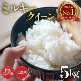 【ふるさと納税】【先行予約】【令和8年産 新米】ミルキークイーン 5kg 精米 特別栽培米 低農薬 《食味値85点以上！こだわり精米》 / 福井県 あわら市 北陸 米 お米 人気 白米 精米 ※2026年9月上旬より順次発送