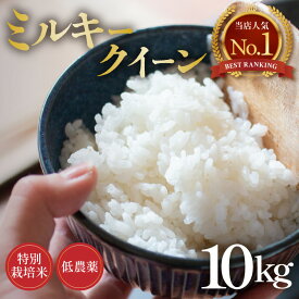 【ふるさと納税】【先行予約】【令和8年産 新米】ミルキークイーン 10kg 精米 特別栽培米 低農薬 《食味値85点以上！こだわり精米》 / 福井県 あわら市 北陸 米 お米 人気 白米 精米 ※2026年9月上旬より順次発送