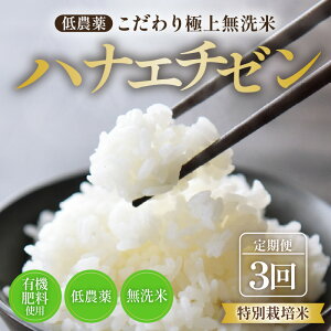 yӂ邳Ɣ[Łzyߘa7NY Vāzsցt5kg×3 15kg ʍ͔| niG`[  _ sɏ㖳āt / 䌧  k   lC