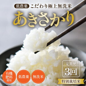 yӂ邳Ɣ[Łzyߘa7NY Vāzsցt5kg×3 15kg ʍ͔|   _ sɏ㖳āt / 䌧  k   lC