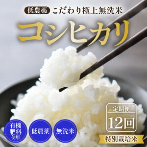 yӂ邳Ɣ[Łzyߘa7NY Vāzsցt5kg×12 60kg ʍ͔| RVqJ  _ sHl85_ȏIɏ㖳āt / 䌧  k   lC i Nx