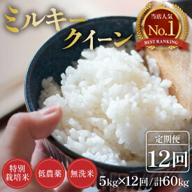 【ふるさと納税】【令和8年産】定期便《12ヶ月連続お届け》5kg×12回 60kg 特別栽培米 ミルキークイーン 無洗米 低農薬 《食味値85点以上！こだわり 無洗米》 / 福井県 あわら市 北陸 米 お米 人気 白米 精米 新米