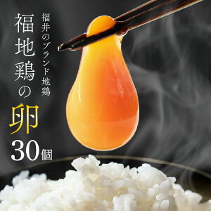 yӂ邳Ɣ[ŁzZŊÂĂI uhun{v̗ 30 ^  ܂ {  L   n{ {      s 