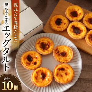 【ふるさと納税】【採れたて高級たまご】黒ちゃん家のエッグタルト 10個入り(5個×2セット) 福地鶏 国産 スイーツ 濃厚 たまご 自社加工 にわとり 平飼い 手作り ギフト