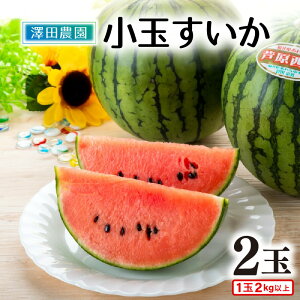 yӂ邳Ɣ[Łzys\zʂ  ܂Ȃނ 2kgȏ 2ʓ ʂ̂悤ȃVIۂ܂ŔQɊÂ ^ Ԍ ʌ ʕ t[c Z XCJ Yn 2026N