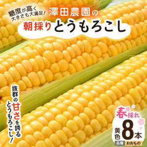 yӂ邳Ɣ[Łzys\ztƂ낱 8{  F ̂ ^ Ԍ ʌ nEX͔| Yn Â XC[gR[ Ƃ낱   2026N6{菇