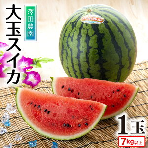 yӂ邳Ɣ[Łz ys\zʃXCJi7kgȏ 1ʓ) ۂ܂ŊÂIVQI ^ Ԍ ʌ ʕ t[c Z  Yn 2026N6{菇