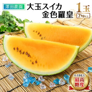 yӂ邳Ɣ[Łzys\zʃXCJwFcxi7kgȏ 1ʓj XCJj ōxI^ Ԍ ʌ ʕ t[c Z  Yn x 2026N6{菇