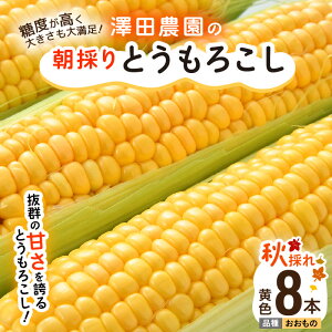 yӂ邳Ɣ[Łzys\zHƂ낱 8{  F ̂ ^ Ԍ ʌ nEX͔| Yn Â XC[gR[ Ƃ낱   2025N1010菇