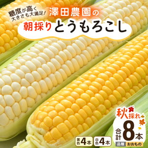 yӂ邳Ɣ[Łzys\zHƂ낱 F F v8{  ̂ ^ Ԍ ʌ nEX͔| Yn Â ~bNX XC[gR[  Ƃ낱 zCgR[