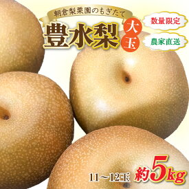 【ふるさと納税】【先行予約】《数量限定》豊水梨【大玉】11～12玉入 約5kg もぎたて 新鮮 ／ 期間限定 果物 フルーツ 農家直送 お取り寄せ 豊水 梨 なし 福井県 あわら市 ※2026年9月上旬より順次発送予定