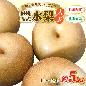 yӂ邳Ɣ[Łzys\zsʌtLyʁz11`12ʓ 5kg  VN ^ Ԍ ʕ t[c _ƒ  L  Ȃ 䌧 s 2026N9{