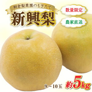 yӂ邳Ɣ[Łzys\zsʌtV 9`10ʓ 5kg QI  VN ^ Ԍ ʕ t[c _ƒ  V  Ȃ 䌧 s2025N10