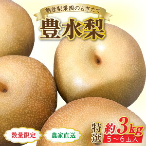 yӂ邳Ɣ[Łzys\zsʌtL I 5`6ʓ 3kg  VN ^ Ԍ ʕ t[c _ƒ  L  Ȃ 䌧 s 2026N9{菇