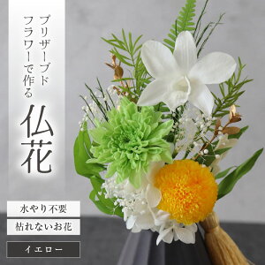 yӂ邳Ɣ[Łzy߁zdɂ@vU[uht[ԁiS5Fj ^ d  Mtg v[g uU[uh t[  AWg