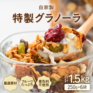 yӂ邳Ɣ[ŁzY Om[ yIׂeʁz250g×2 / 250g×3 / 250g×6 Ɛ t[cOm[ / I[KjbN ʕ hCt[c I[g~[ [Og  VA 