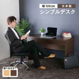【ふるさと納税】【2色から選べる】PHSDシンプルデスク幅120cm 日本製（ナチュラル・ダークブラウン）｜日本製 国産 家具 木製 机 仕切り 入学祝 出産祝 プレゼント 贈り物 勉強 学習 子供部屋 リビング 書斎 子ども シンプル デザイン 新生活 引っ越し