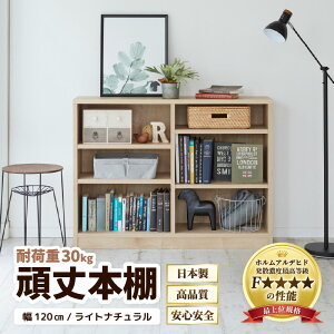 yӂ邳Ɣ[Łz{I 120cm Cgi`i[^Cvj^ {I { Y Ƌ ؐ [ I d؂ v[g 蕨 ׋ wK q rO  Vv fUC d