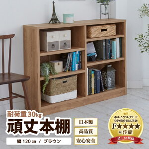 yӂ邳Ɣ[Łz{I 120cm uEi[^Cvj^{I { Y Ƌ ؐ [ I d؂ v[g 蕨 ׋ wK q rO  Vv fUC d 