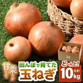 【ふるさと納税】【先行予約】玉ねぎ 5kg / 10kg（サイズ S M L ミックス）田んぼで育てた甘くて柔らか自慢の玉ねぎ！／ 野菜 万能 料理 常備 玉葱 BBQ たまねぎ 玉ネギ サラダ スープ ※2026年7月上旬より順次発送予定